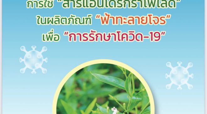 ติดเชื้อไวรัสโควิด-19 สายพันธุ์โอมิครอน ส่วนใหญ่อาการไม่มาก