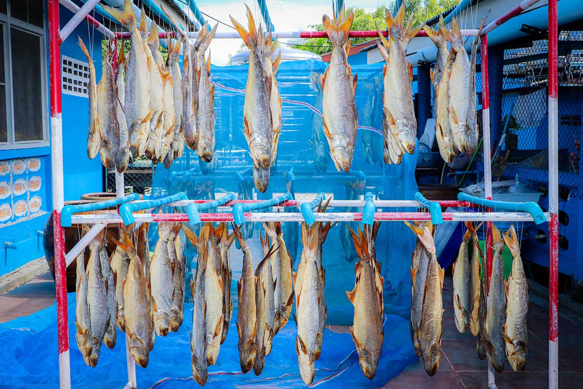 กุเลาเค็ม โอรังปันตัย ปัตตานี ภูมิปัญญาชาวประมงพื้นบ้าน สร้างมูลค่า “สู่มหานครแห่งอาหารฮาลาล”