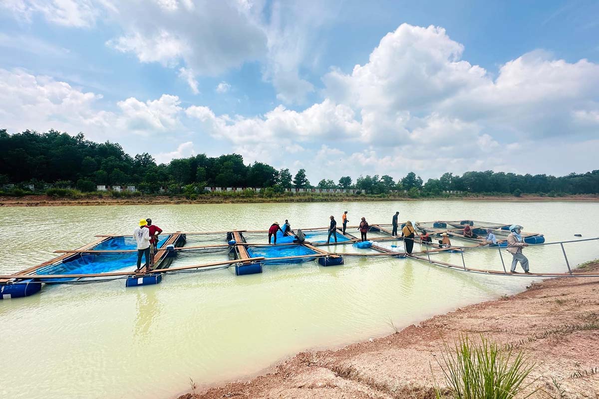 มรภ.สงขลา วิทยาเขตสตูล อบรมเทคนิคทำกระชังปลาน้ำจืด พัฒนาอาชีพ ยกระดับคุณภาพชีวิตคนในชุมชน