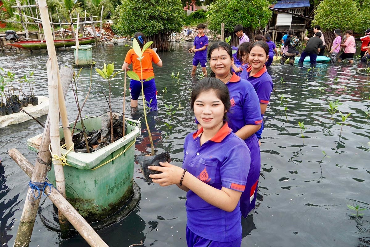 ทีมวิจัยมหาวิทยาลัยหาดใหญ่ จัดอบรมเชิงปฏิบัติการ “การเพาะพันธุ์กล้าไม้” และ“การปลูกป่าชายเลนแบบผสมผสาน 1,000 ต้น