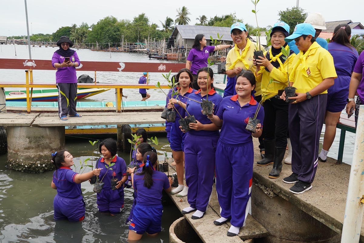 ทีมวิจัยมหาวิทยาลัยหาดใหญ่ จัดอบรมเชิงปฏิบัติการ “การเพาะพันธุ์กล้าไม้” และ“การปลูกป่าชายเลนแบบผสมผสาน 1,000 ต้น