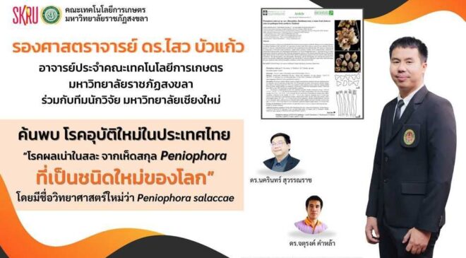 ค้นพบโรคอุบัติใหม่ในประเทศไทย “โรคผลเน่าในสละจากเห็ดสกุล Peniophora ที่เป็นชนิดใหม่ของโลก”