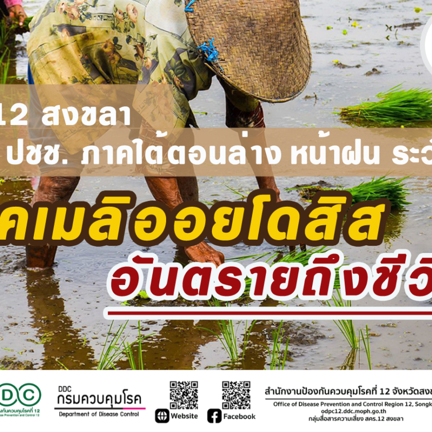 สคร.12 สงขลา เตือน ปชช. ภาคใต้ตอนล่าง หน้าฝน ระวังป่วยโรคเมลิออยโดสิส เสี่ยงอันตรายถึงชีวิต